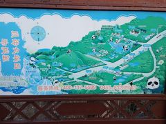 -亚布力新体委滑雪场