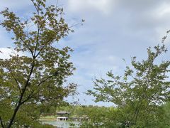 -中华孝德园