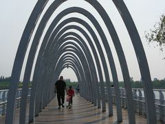 -大兴滨河森林公园