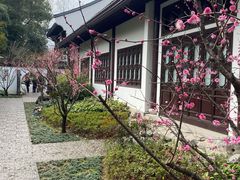 -上海醉白池公园
