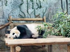 -深圳野生动物园