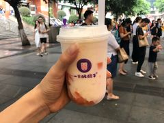 -一只酸奶牛(八一路店)
