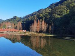 -广州市石门国家森林公园
