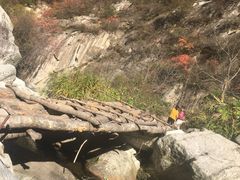 -终南山国家森林公园