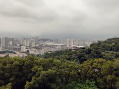 -金鸡山公园