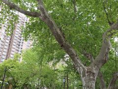 -嘉善路(地铁站)