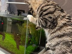 -贝利宠物医院·骨科·眼科·肿瘤转诊中心(南坪诊疗中心)