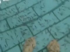 -天山海世界·米立方