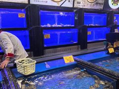 -万宝海鲜舫(劳动公园店)