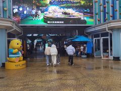 -海合安成都极地海洋公园
