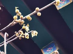 -丰台花园