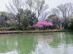 -西溪国家湿地公园