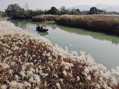 -西溪国家湿地公园