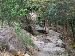 -梧桐山风景名胜区