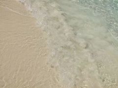 -珊瑚岛