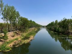-东郊湿地公园