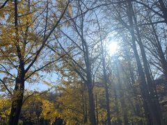 -阳台山自然风景区