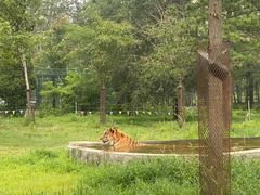 -秦皇岛野生动物园