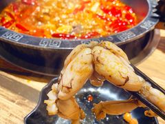 -销魂美蛙鱼头火锅(上海首店)