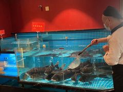 水产区-俏湘浔·宴会主题酒店