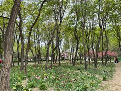 -北京世界公园