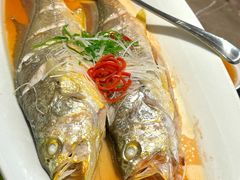 -双合园·海鲜水饺青岛菜(上清路店)