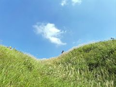 -萍乡武功山风景名胜区