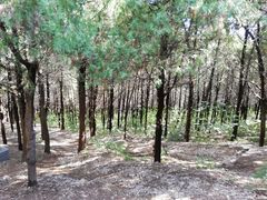 -青州市云门山风景区