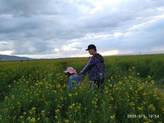 -青海湖国家重点风景名胜区