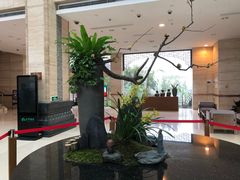 -九华山聚龙大酒店