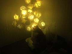 -禧瑞 ·丝浴主题·水疗·spa(中山公园店)