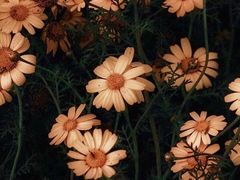 -盛江山自助料理(奥莱锦辉购物广场店)