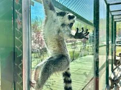 -水上乐园·欢乐世界