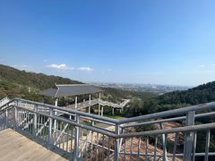 -大青山野生动物园