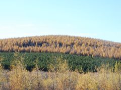 -塞罕坝国家级自然保护区