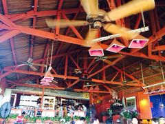 iphone_upload_pic-原野牧场