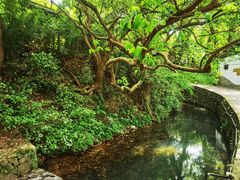 -达蓬山旅游度假区