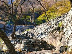 -北京鹫峰国家森林公园