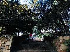 -白马涧龙池景区