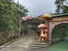-牛鱼嘴原始生态风景区