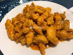 -九龙餐厅(大沽路店)