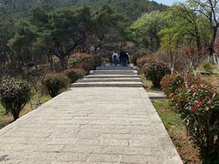 -崂山仰口游览区