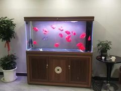 -金蚁康•经络调理•肩颈按摩(万达金街店)