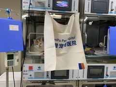-申普宠物医院·心脏介入·心血管微创(总院)