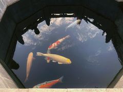 -西安市广仁寺