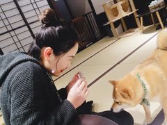 -逗柴咖啡屋·狗咖猫咖宠物桌游