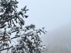 -安吉龙王山风景区