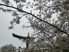 -堤角公园