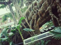 android_upload_pic-老山东·山东菜(鲁菜名店)