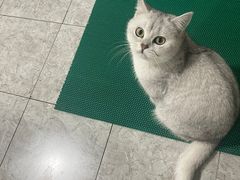-宠福鑫康馨动物医院·骨科·眼科